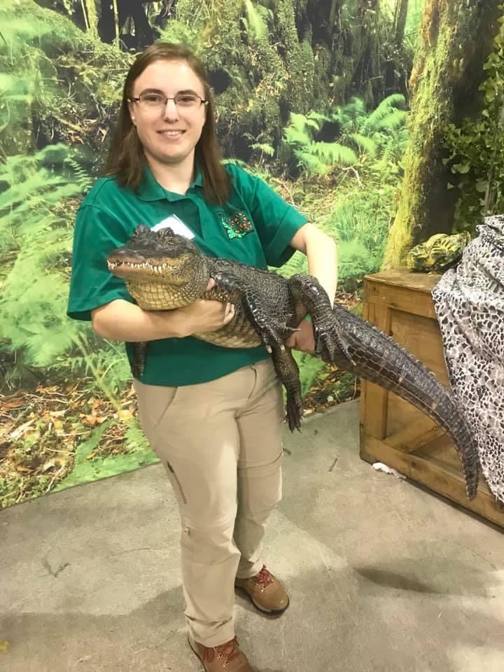 at college job with allie the american alligator