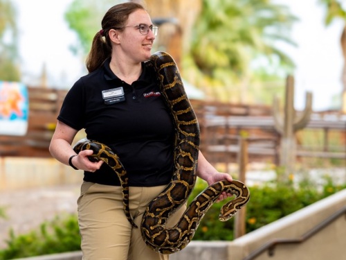 on stage with bearhug the burmese python