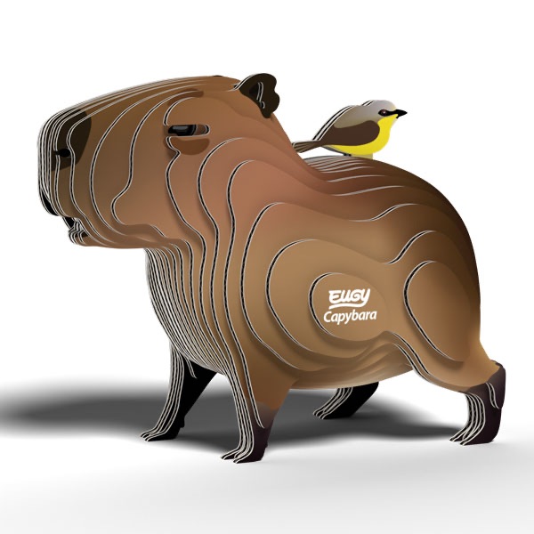 *New* Capybara 3d Model Kit