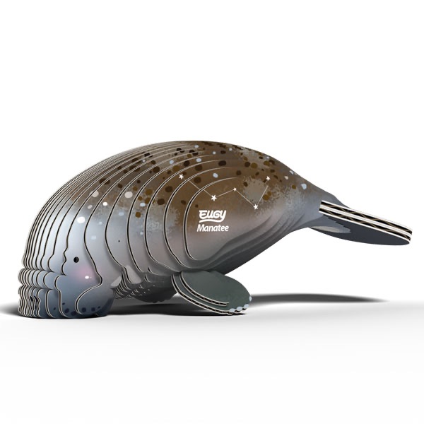 *New* Manatee 3d Model Kit