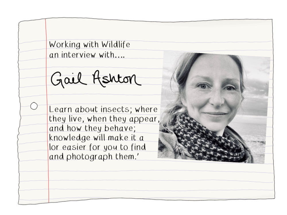 Gail Ashton