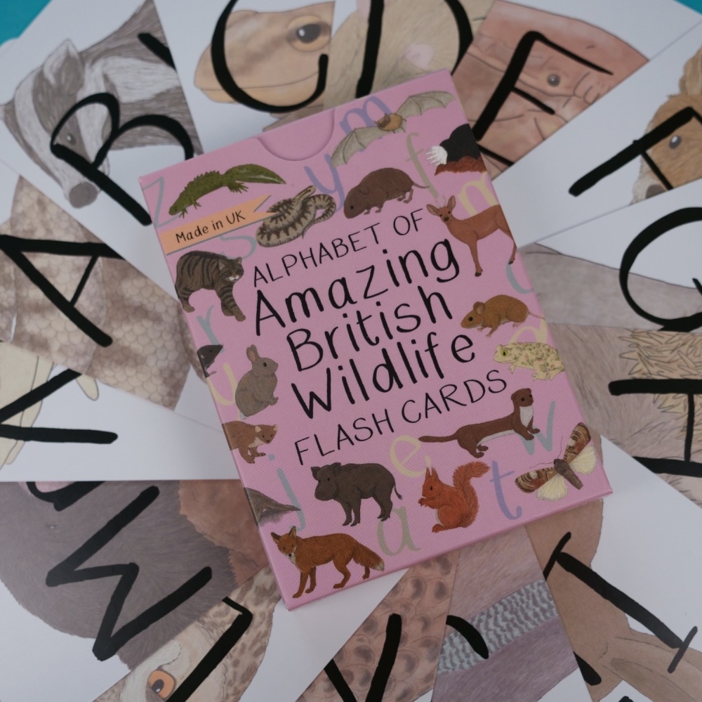 *New* Preorder - Alphabet of Amazing British Wildlife Flash Cards *New*