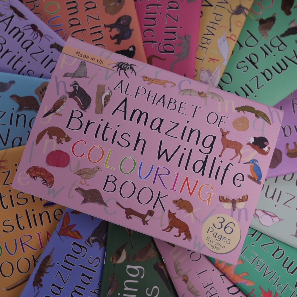*New* Alphabet of Amazing British Wildlife Colouring Book
