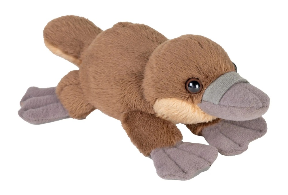 *New* Platypus Pocketkins Wild Republic Eco Soft Toy