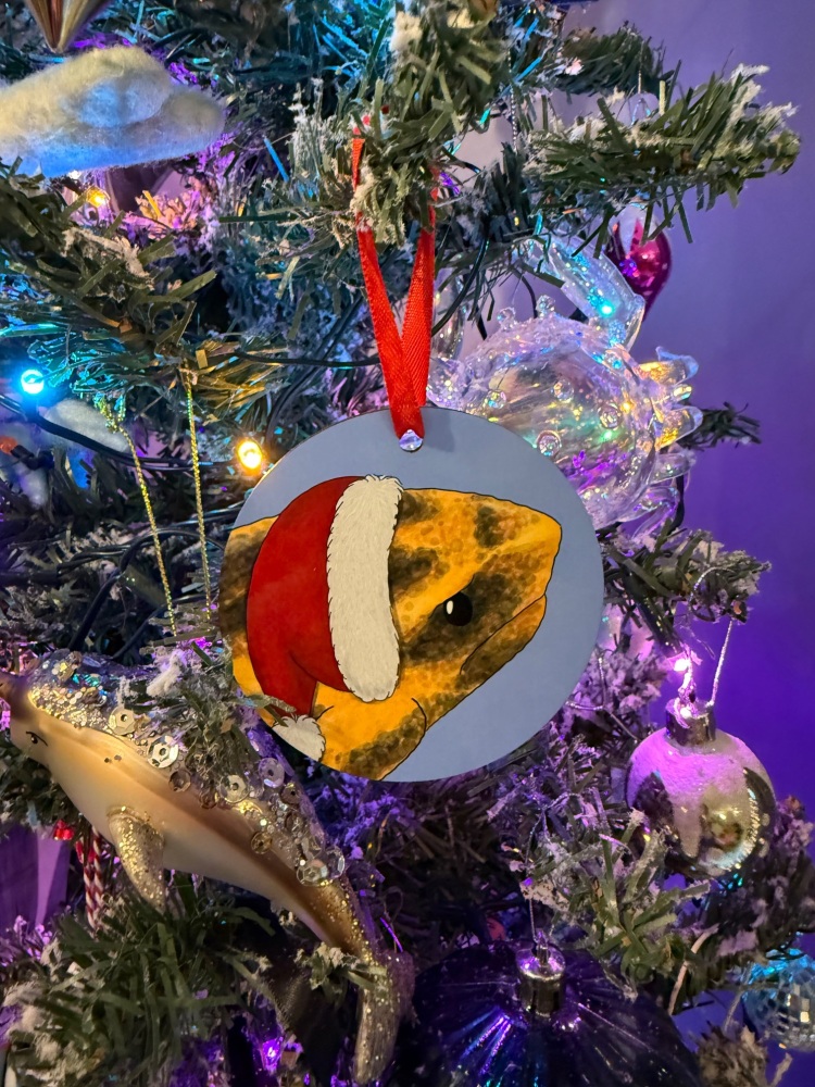 Bale Mountain Frog Christmas Decoration - Blue