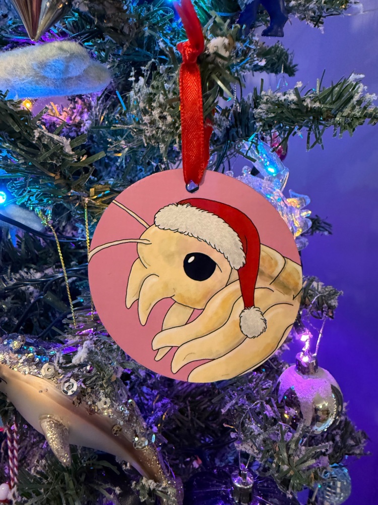 Fairy Shrimp Christmas Decoration