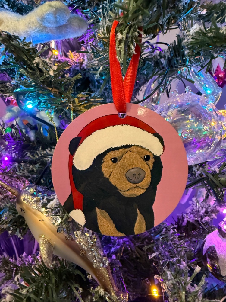 Sun Bear Christmas Decoration