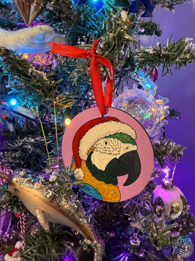 Blue and Yellow Macaw Christmas Decoration