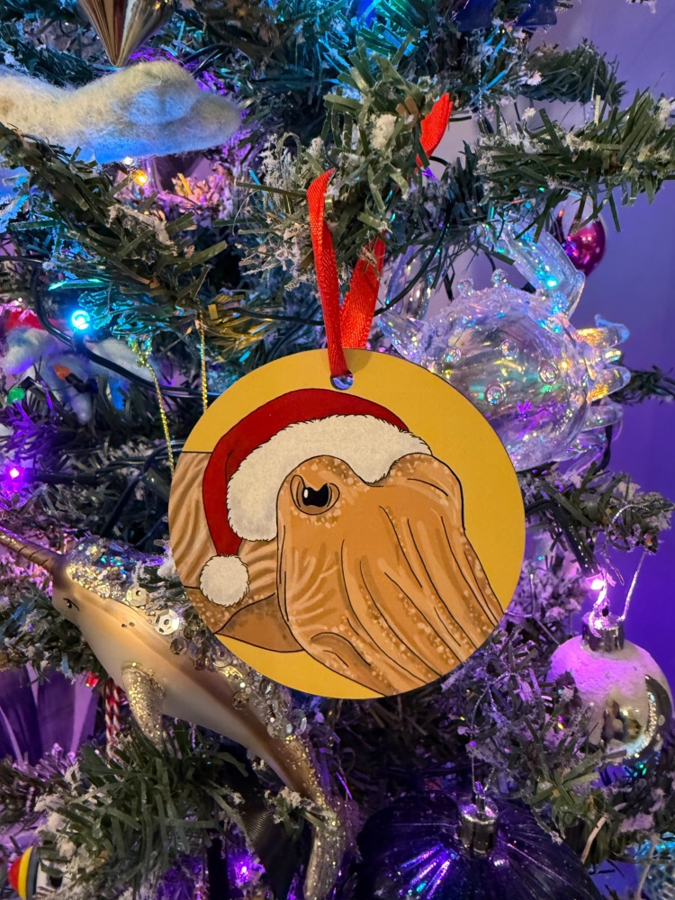 Cuttlefish Christmas Decoration
