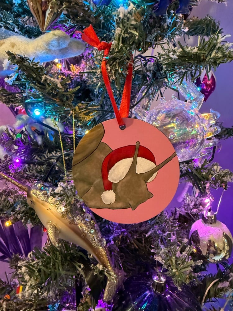 Giant African Land Snail Christmas Decoration