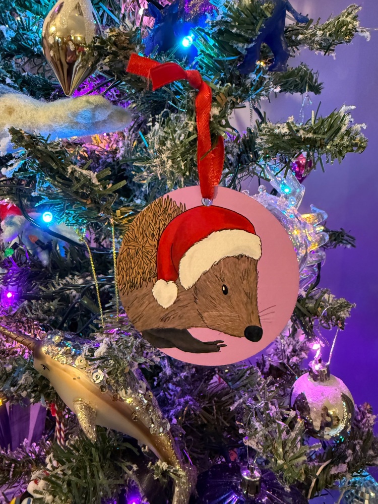 Hedgehog Christmas Decoration