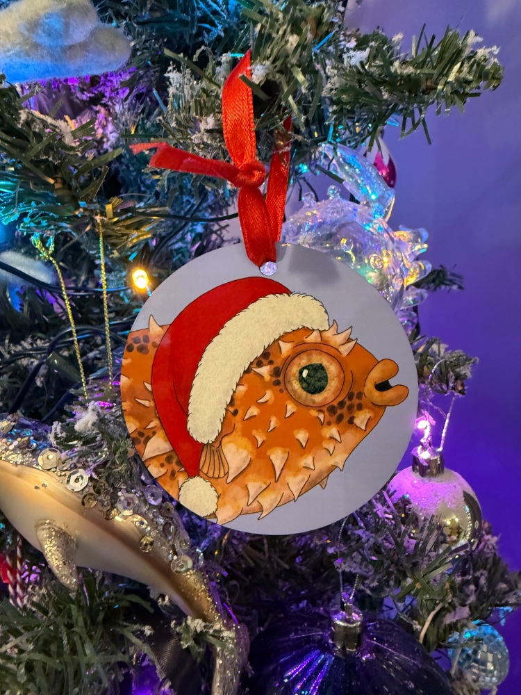 Orbicular Burrfish Christmas Decoration