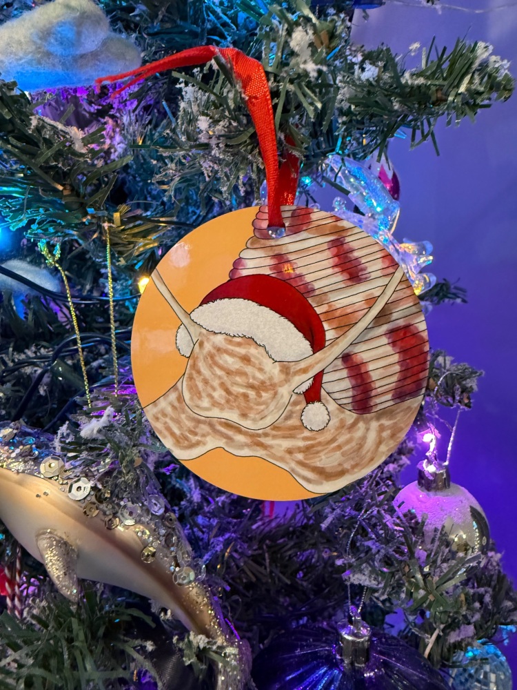 Painted Top Christmas Decoration