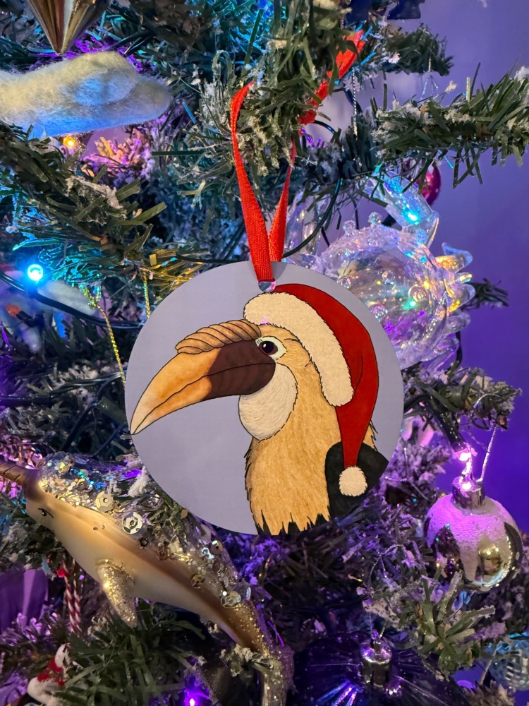 Papuan Hornbill Christmas Decoration