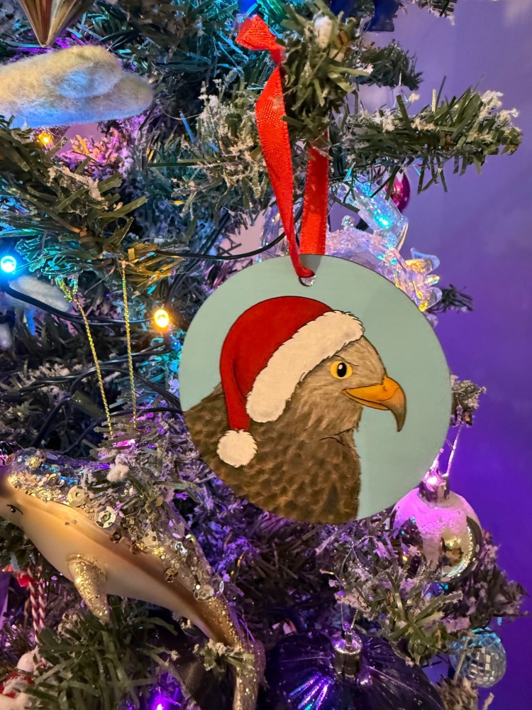 Red Kite Christmas Decoration