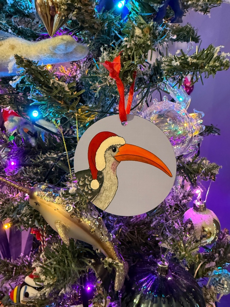 Red Billed Hornbill Christmas Decoration