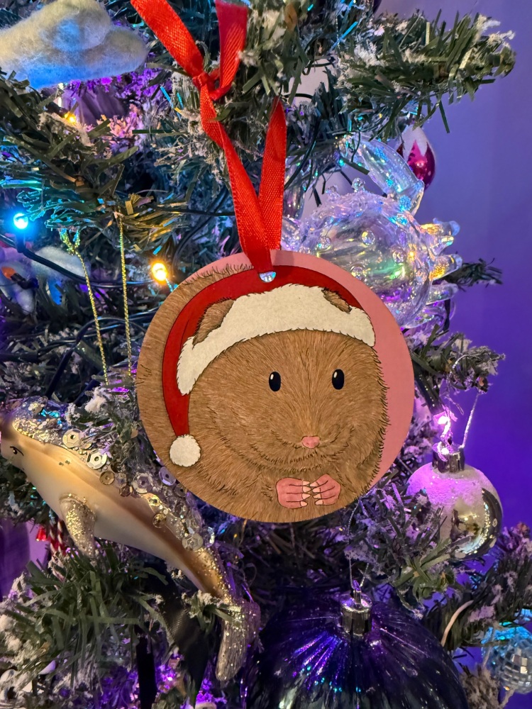 Water Vole Christmas Decoration