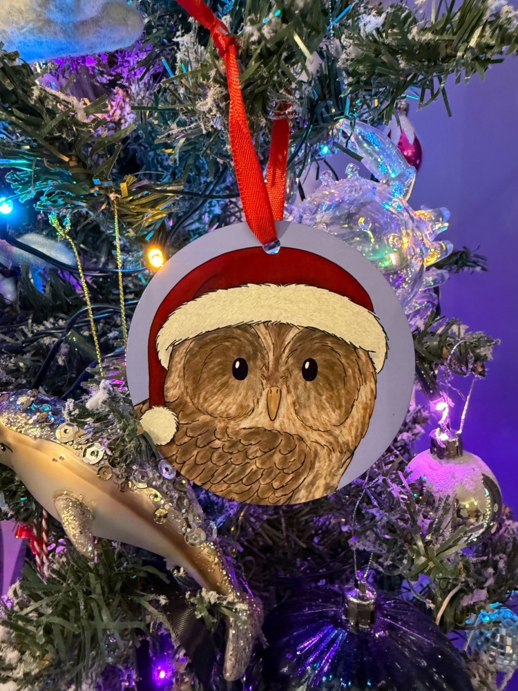 Tawny Owl Christmas Decoration