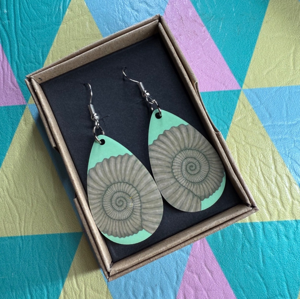 Ammonite Earrings - Turquoise
