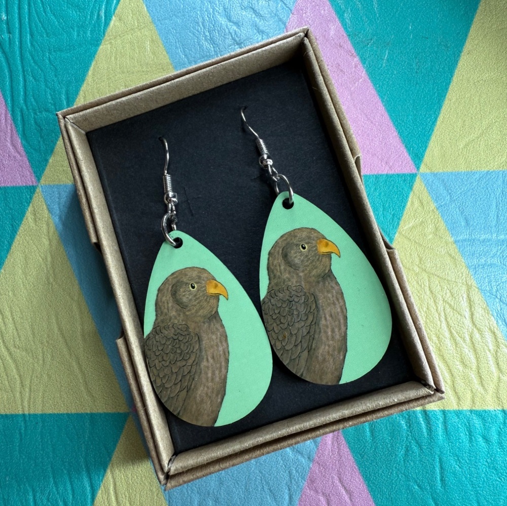 Hen Harrier Earrings - Turquoise