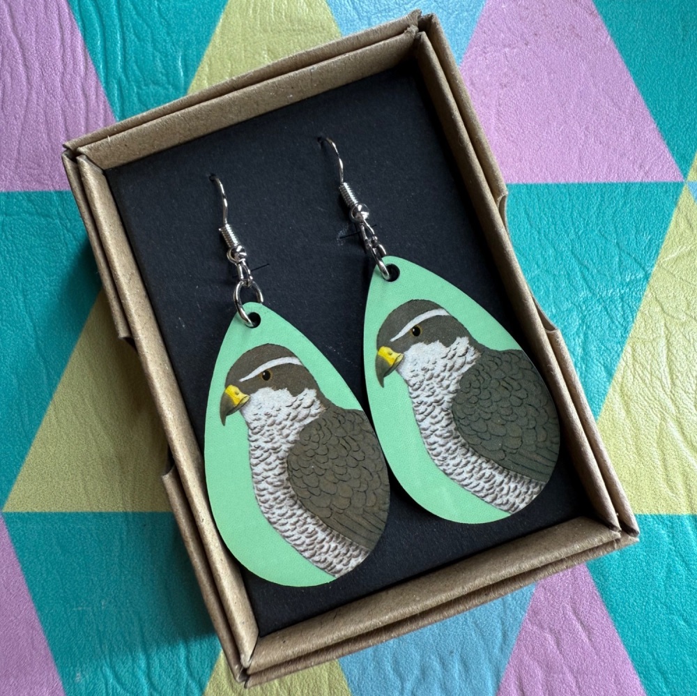 Northern Goshawk Earrings - Turquoise
