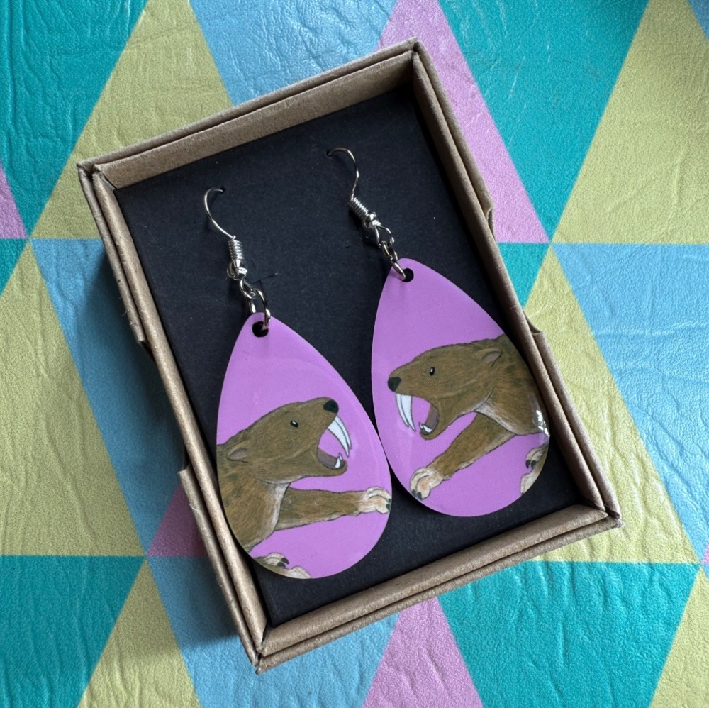 Smilidon Earrings - Pink
