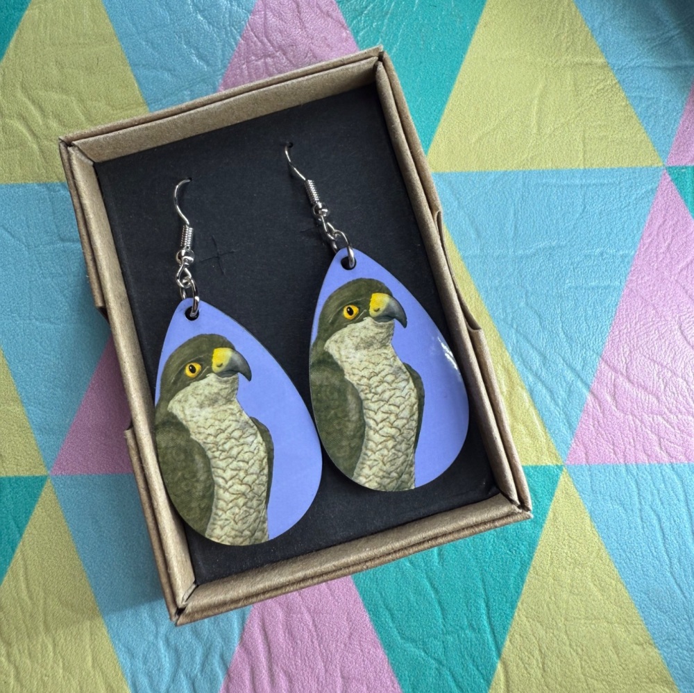 Sparrowhawk Earrings - Blue
