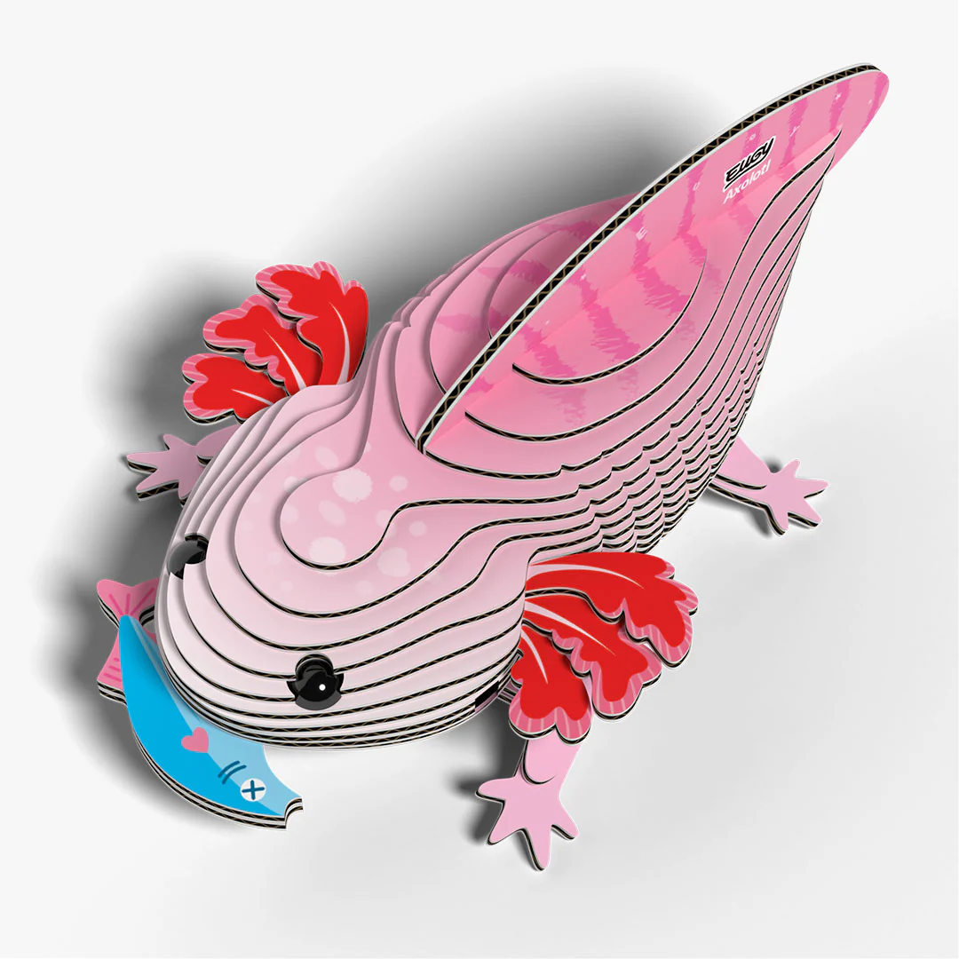 *New* Axolotl 3d Model Kit