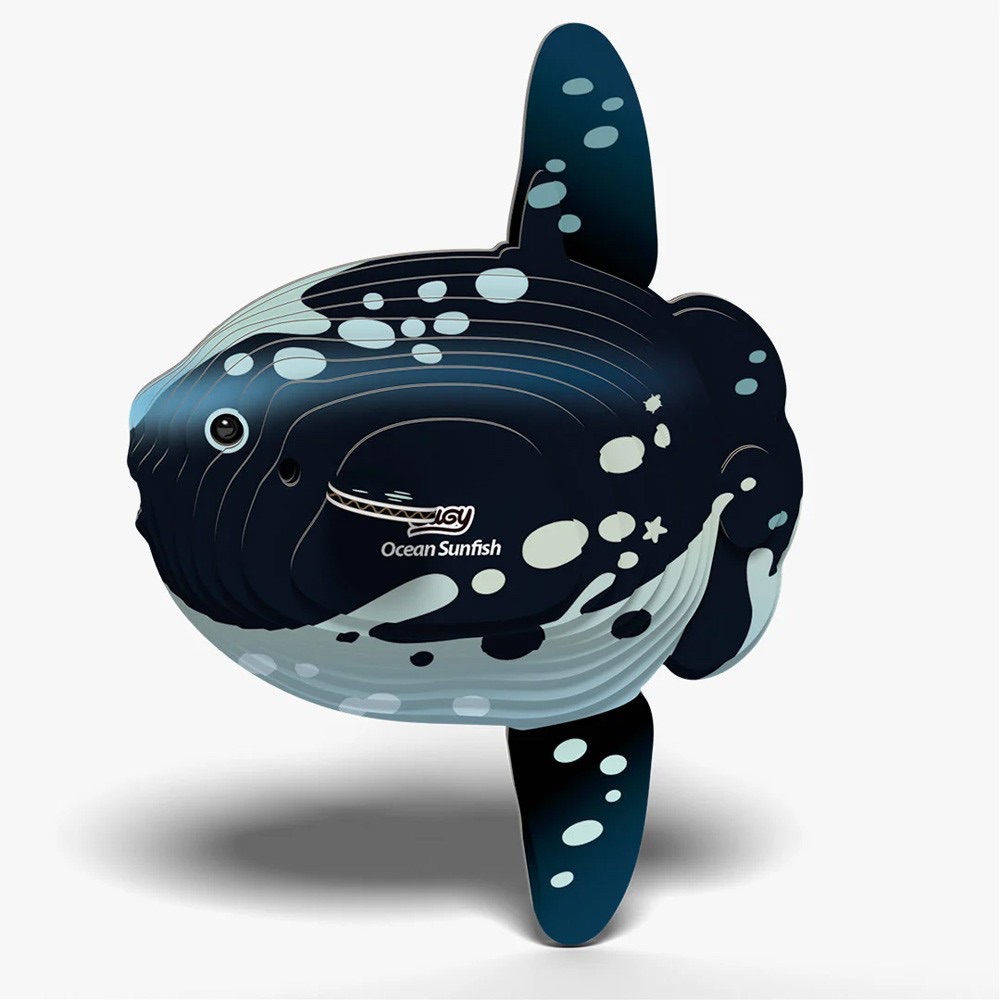 *New* Ocean Sun fish 3d Model Kit