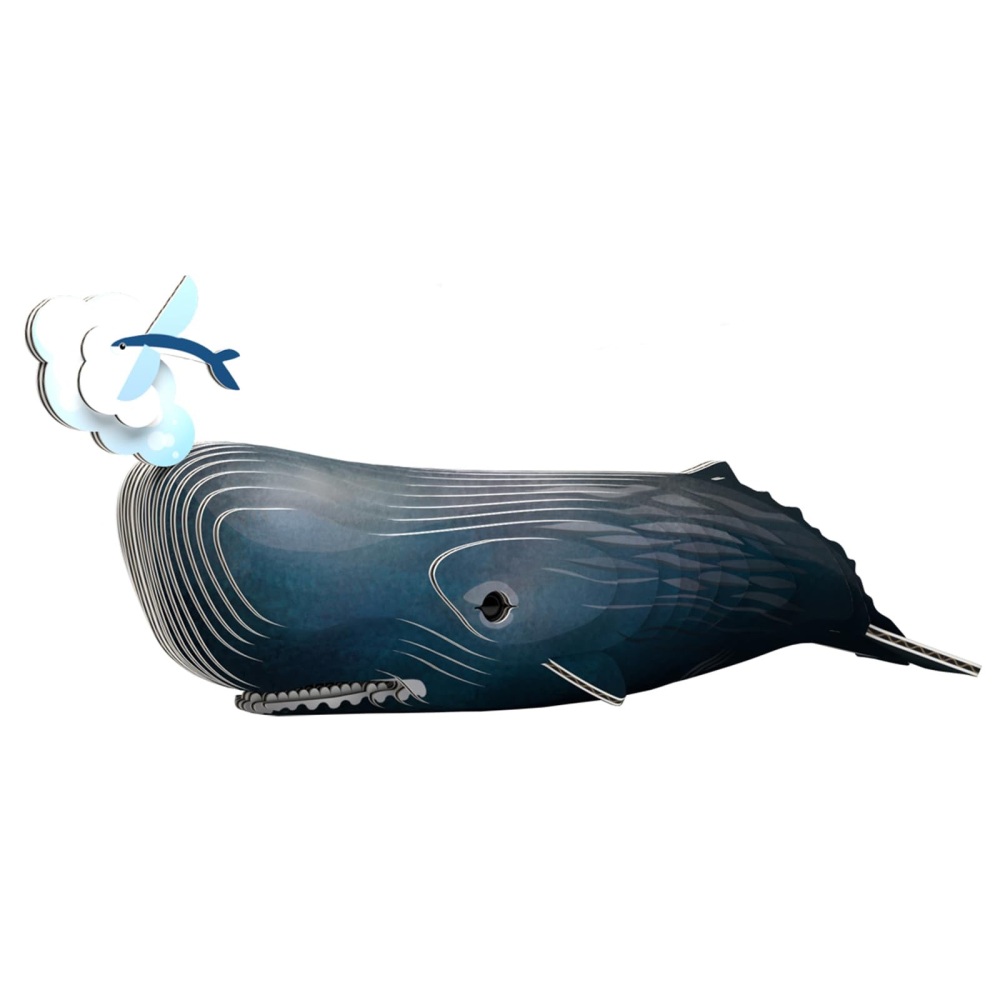 *New* Sperm Whale 3d Model Kit
