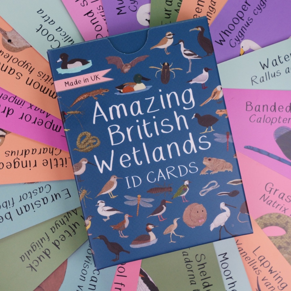 *New* Amazing British Wetlands ID Cards