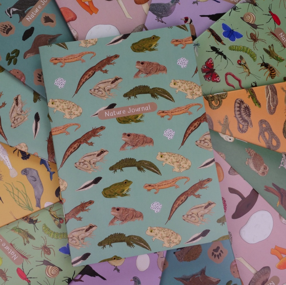 *New* British Amphibians Nature Journal