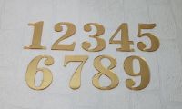 3mm acrylic 10cm Numbers and Letters (Standard Colours)