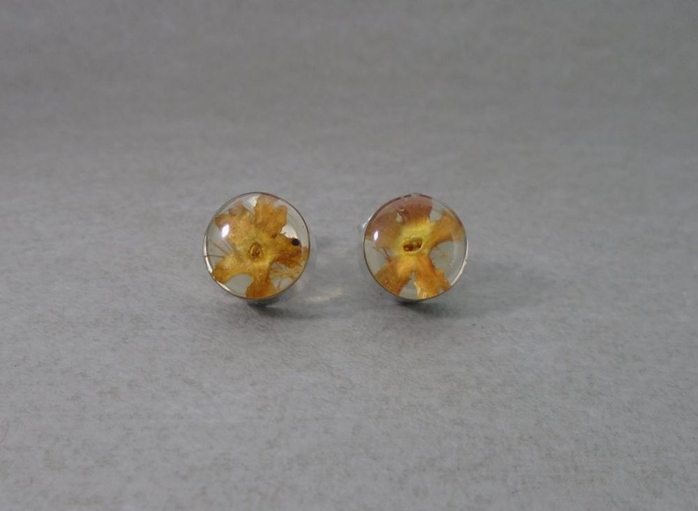 Sterling silver stud earrings; real flowers encased in resin
