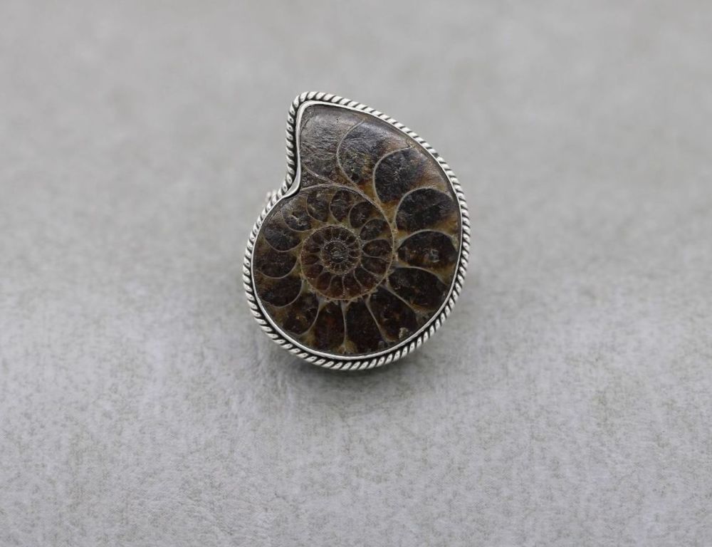 Large decorative sterling silver & ammonite fossil ring