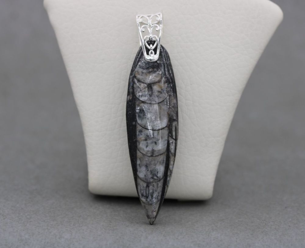 Long sterling silver & ammonite pendant