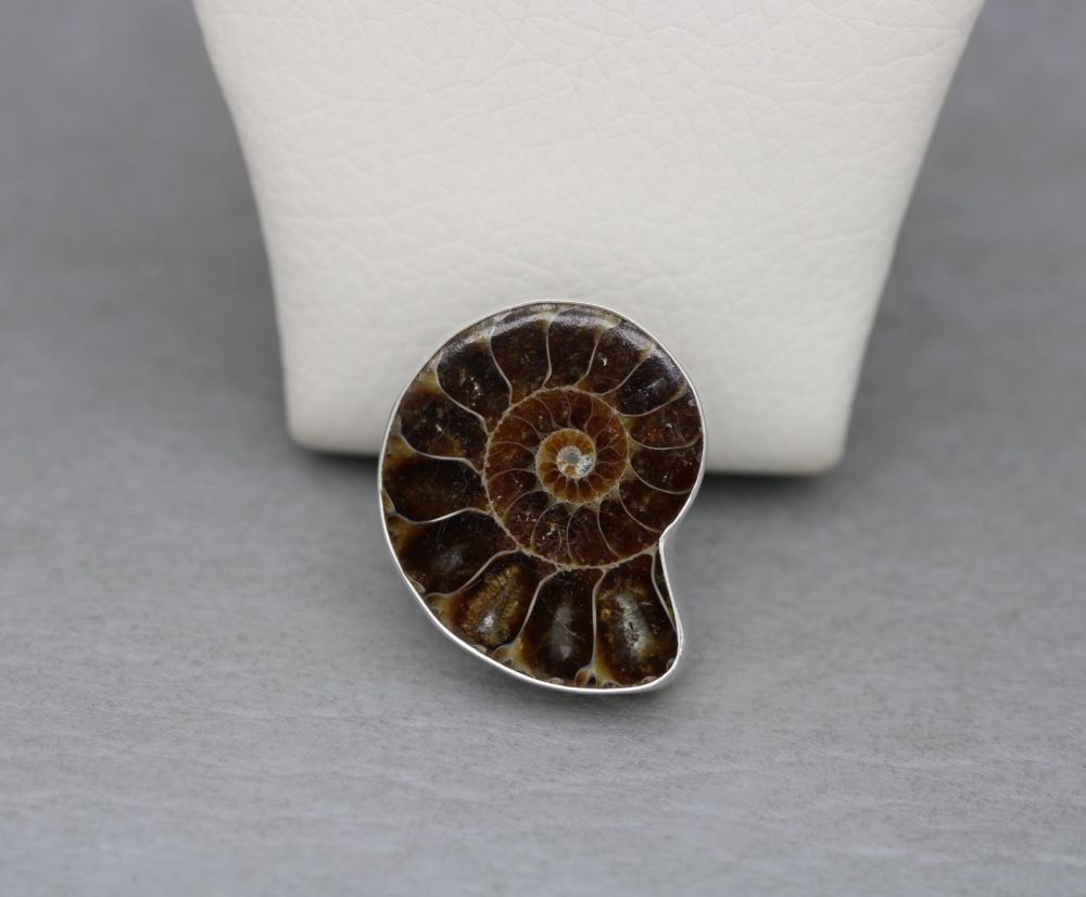 NEW Bold sterling silver & ammonite fossil ring (O)