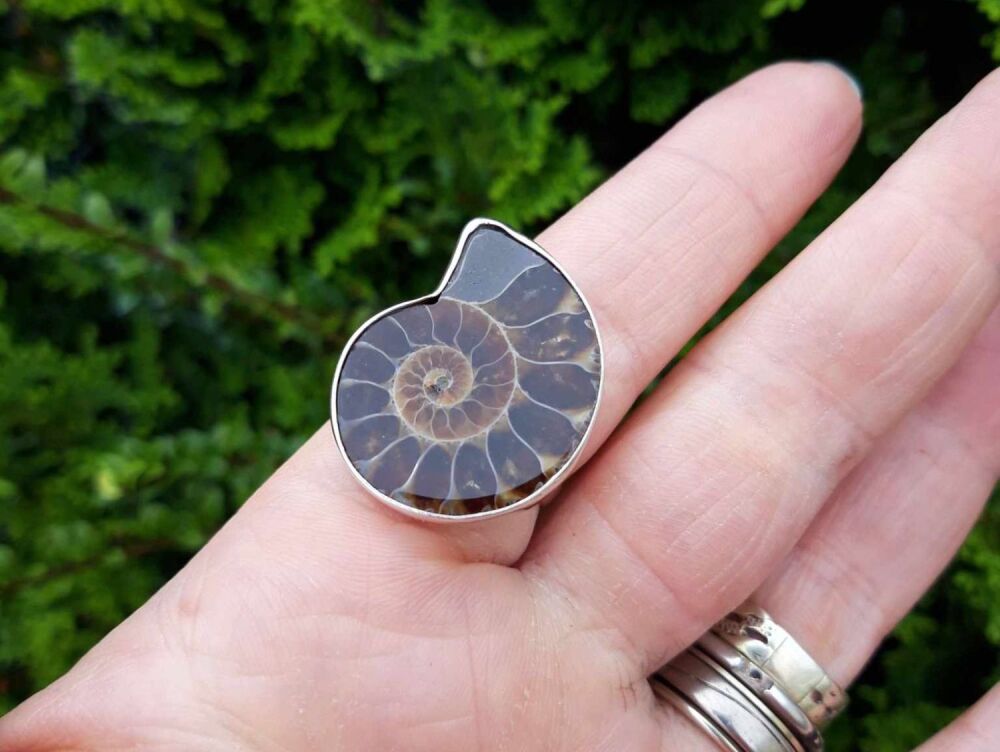 NEW Bold sterling silver & ammonite fossil ring (T)