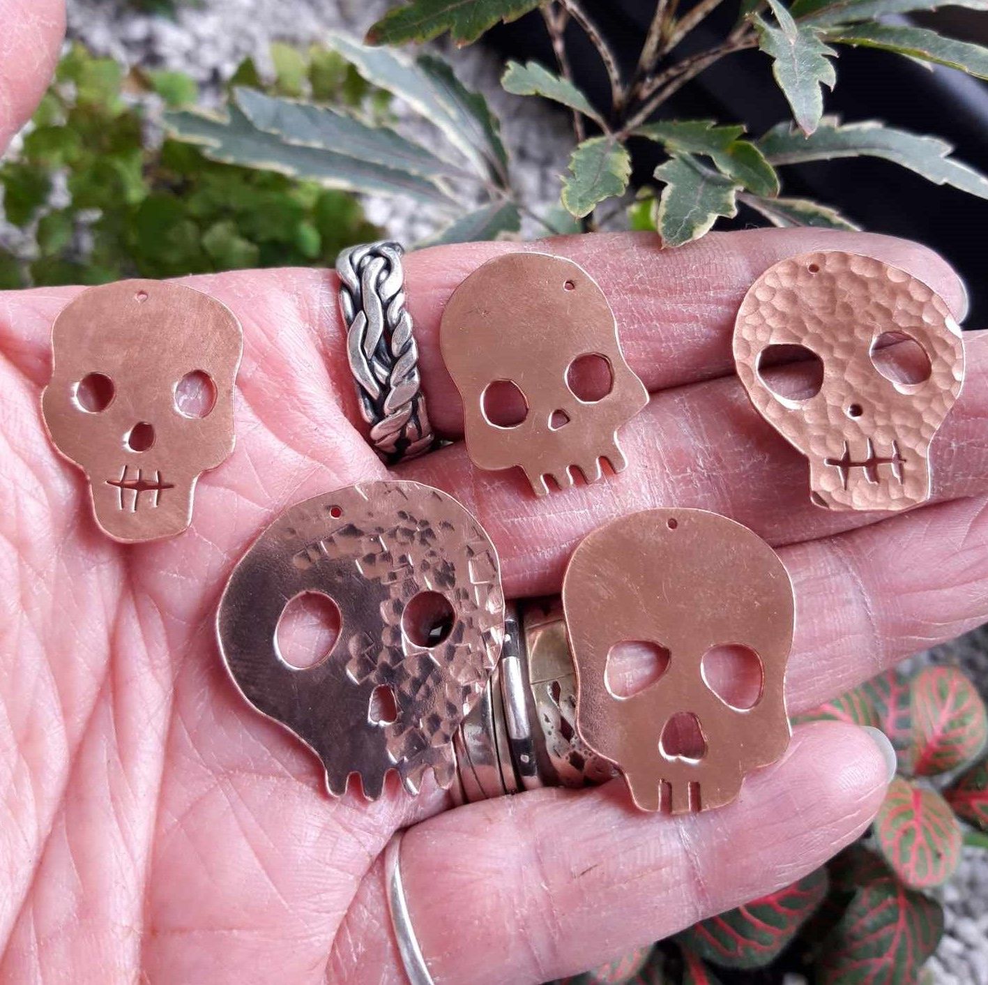 5 skulls cropped