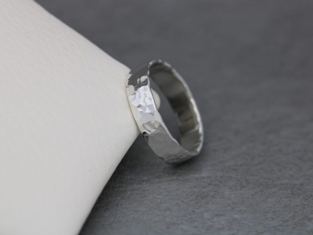28th June (Saturday) Band ring workshop