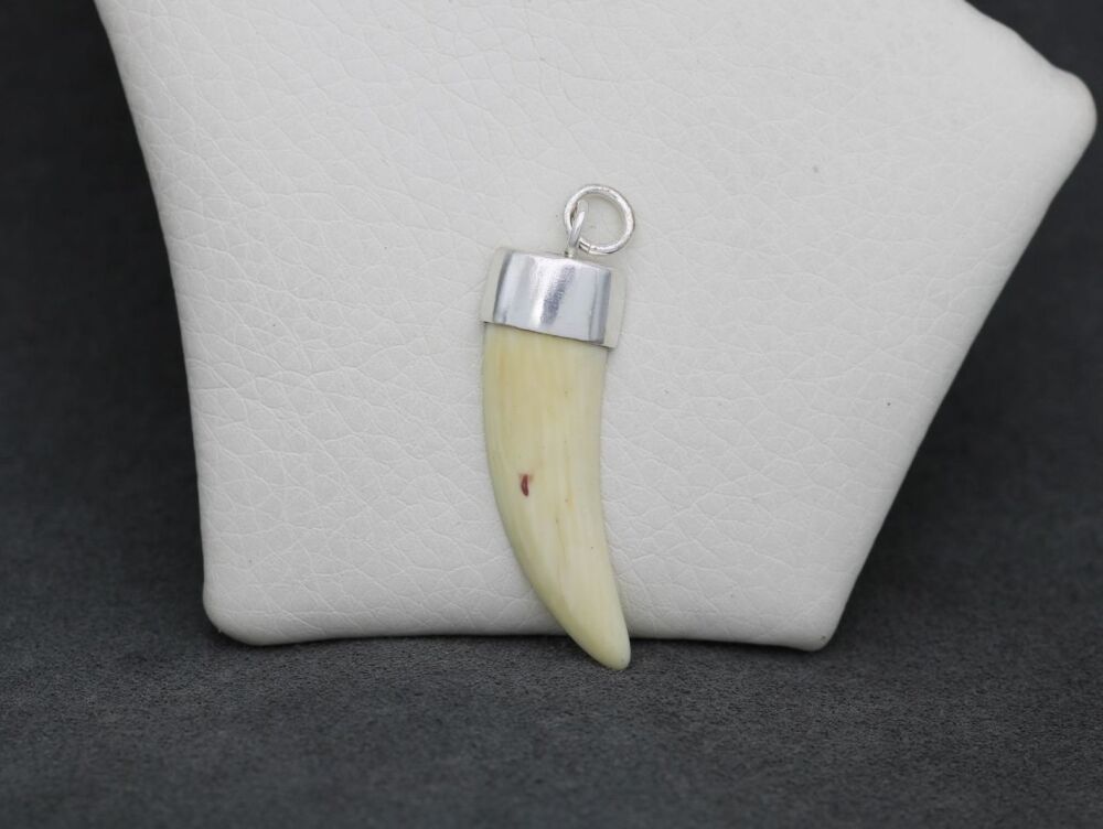 REFURBISHED Sterling silver topped tooth / horn pendant
