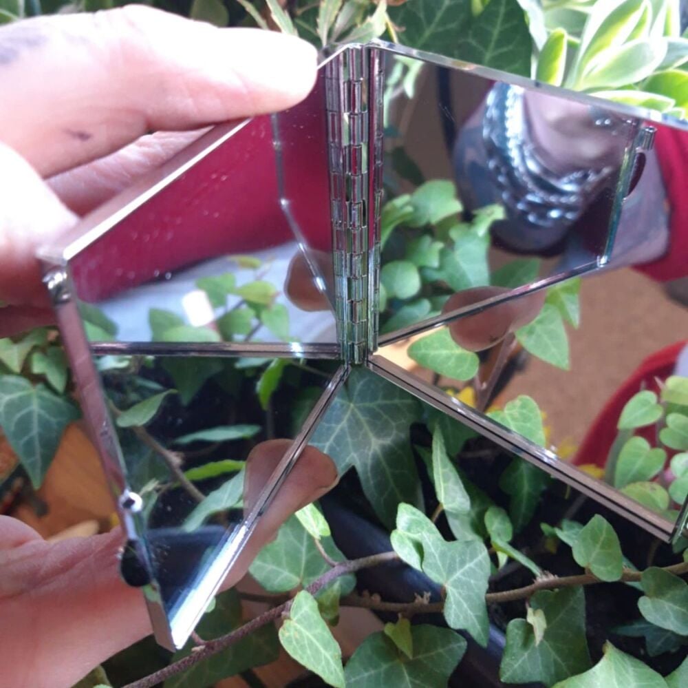 Compact Mirror - Deathshead moth