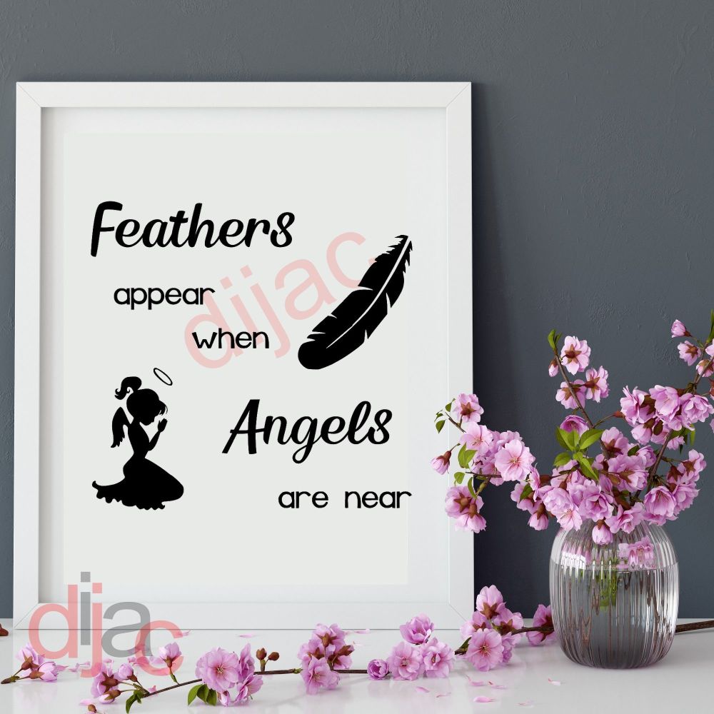 FEATHERS APPEAR WHEN ANGELS ARE NEAR 15 x 15 cm