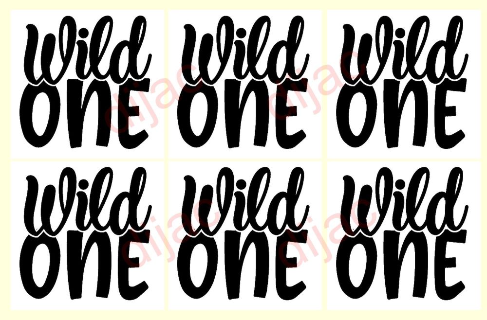 WILD ONE X 6<br>7.5 x 7.5 cm
