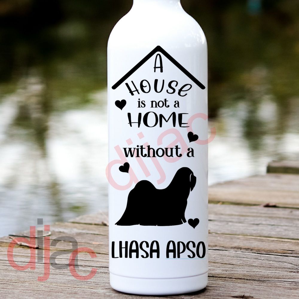 A HOUSE IS NOT A HOME<BR>LHASA APSO<br>8 x 17.5 cm