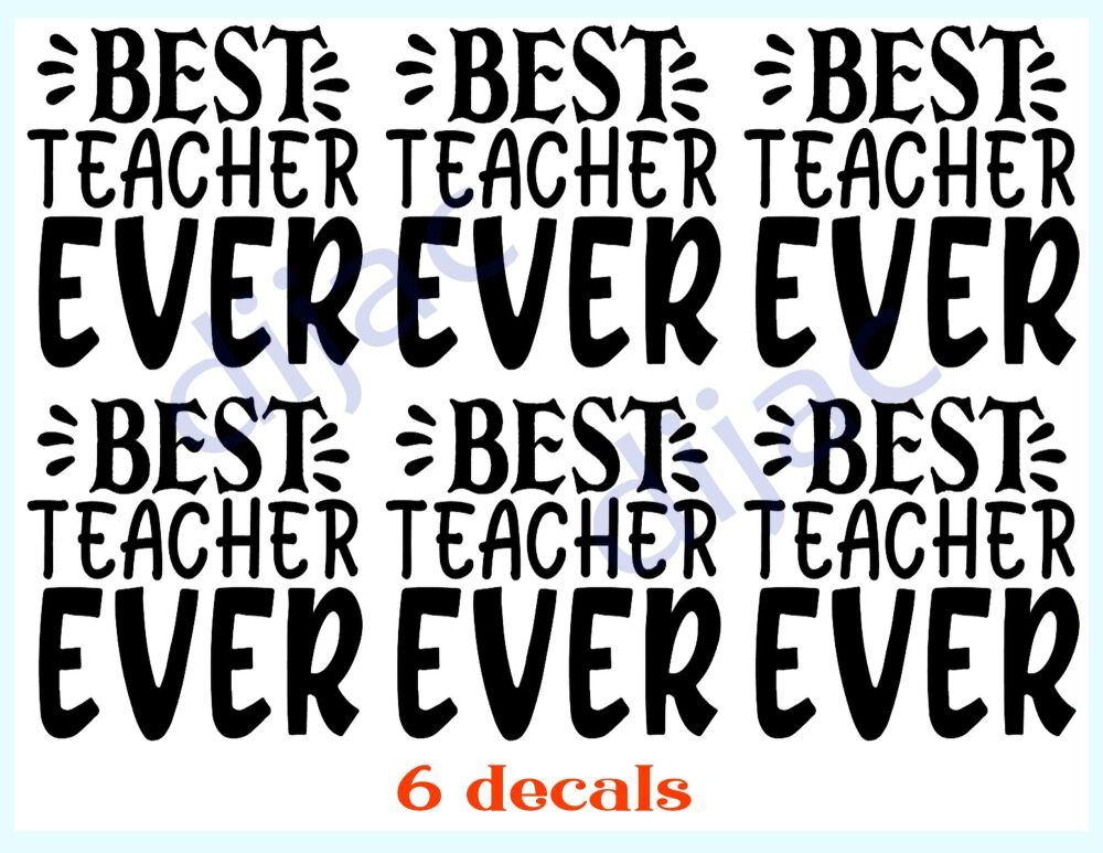 Best Teacher Ever x 6