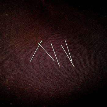 Short Beading Needles