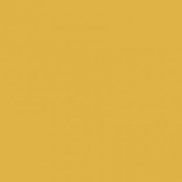 Y27 Mustard Plain | Solid Cotton Quilting Fabric | Makower Sold in FQ, 1/2m, 1m Lengths