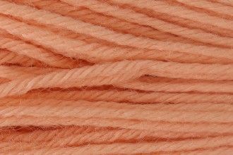 8254 Anchor Tapestry Wool