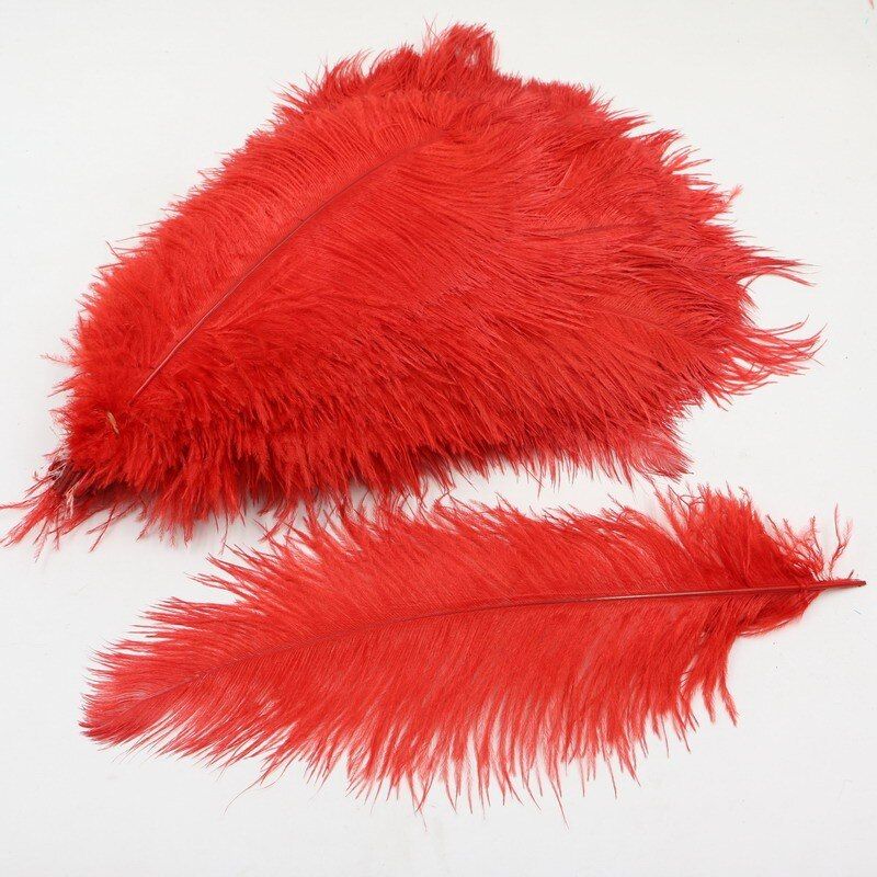F27 Red Ostrich Feathers 55cm Long